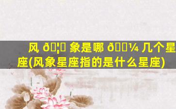 风 🦊 象是哪 🐼 几个星座(风象星座指的是什么星座)